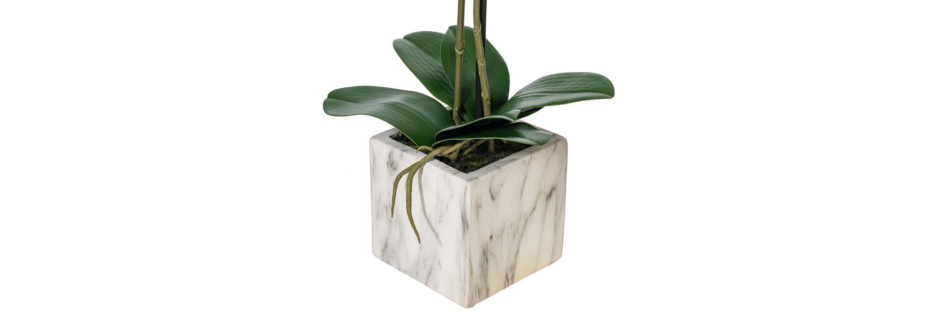 Vickerman 22" Artificial Potted Real Touch Pink and White Phalaenopsis Spray.