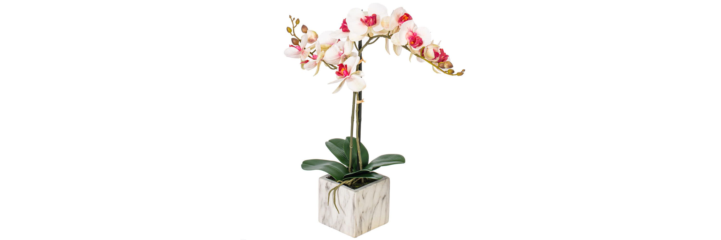 Vickerman 22" Artificial Potted Real Touch Pink and White Phalaenopsis Spray.