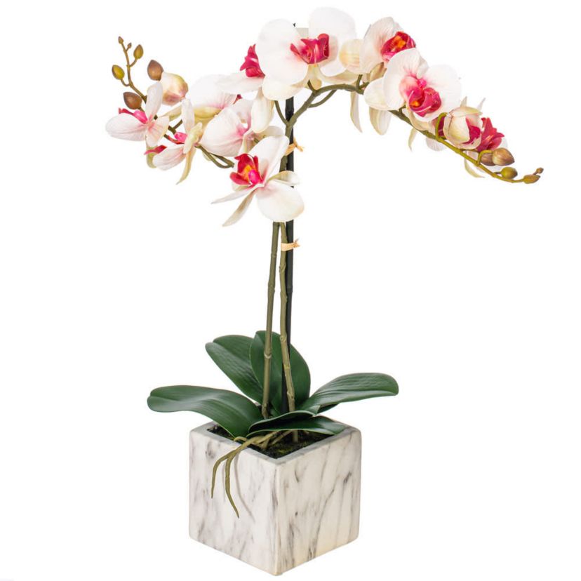 Vickerman 22" Artificial Potted Real Touch Pink and White Phalaenopsis Spray.