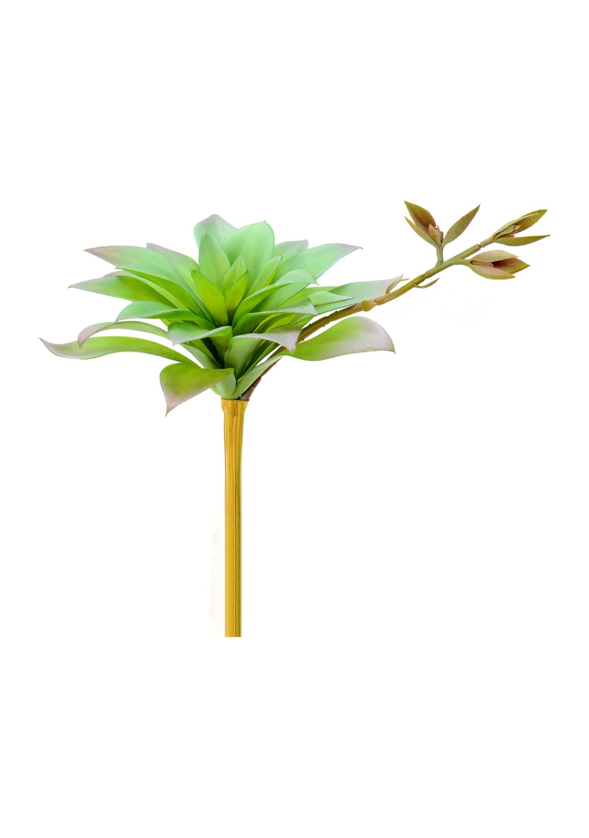 Green Agave Pick Set