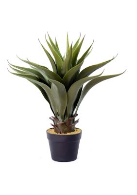 Vickerman Green Potted Aloe Vera