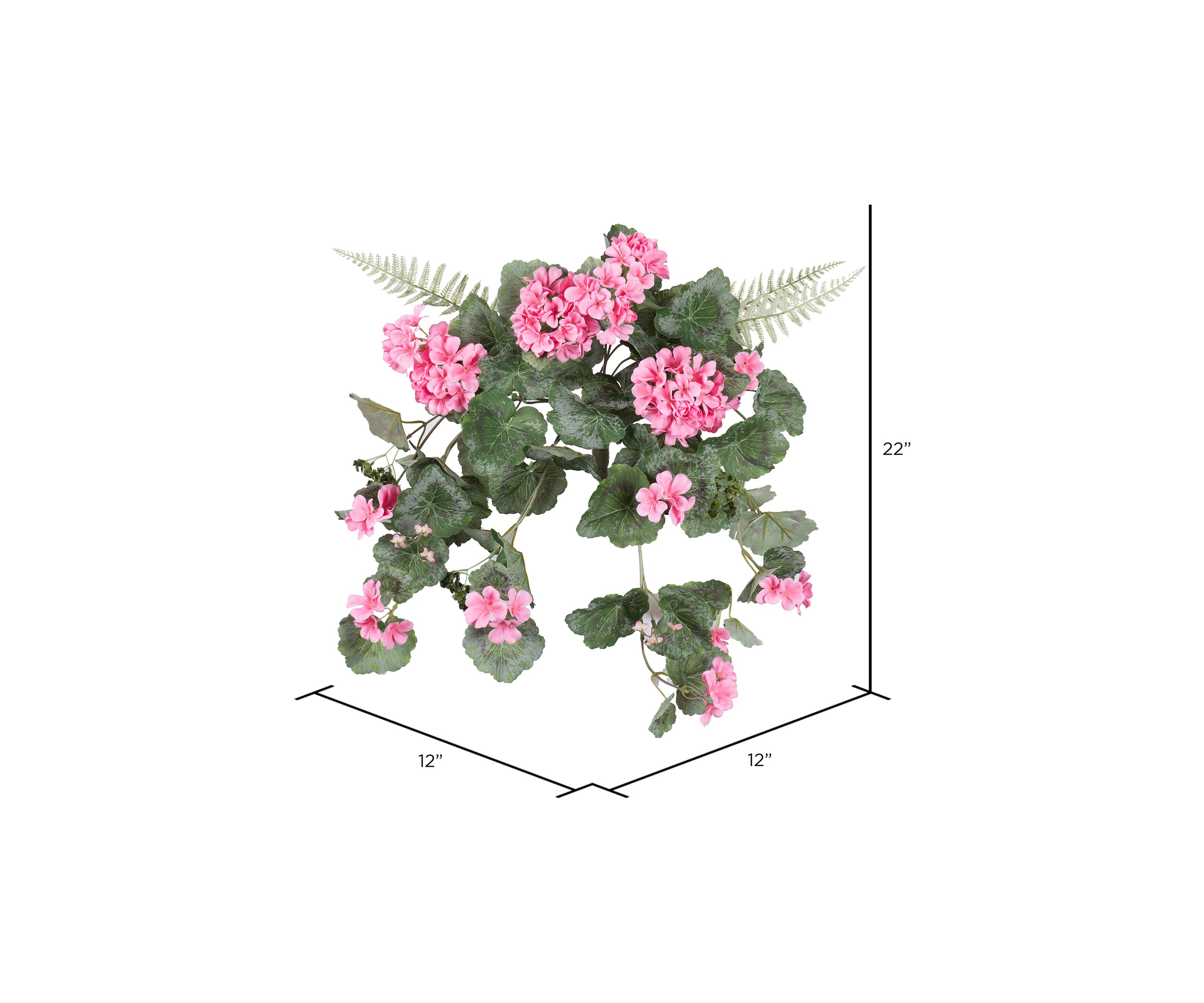 Coral Geranium Hanging