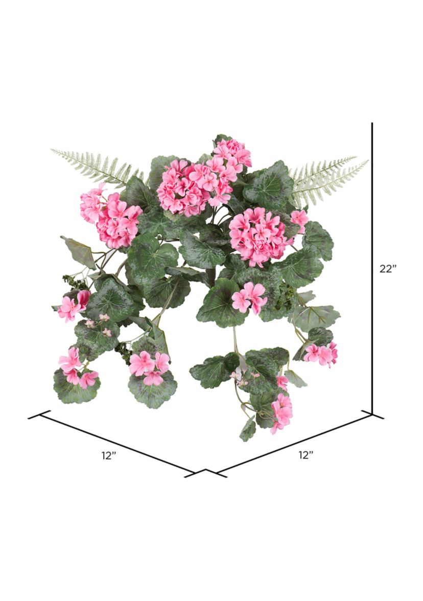 Coral Geranium Hanging