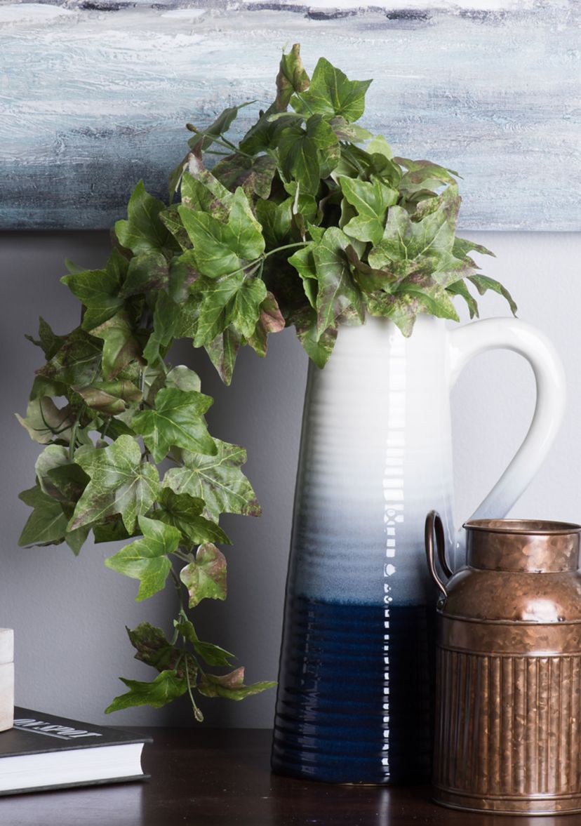 Green Hanging Ivy Bush