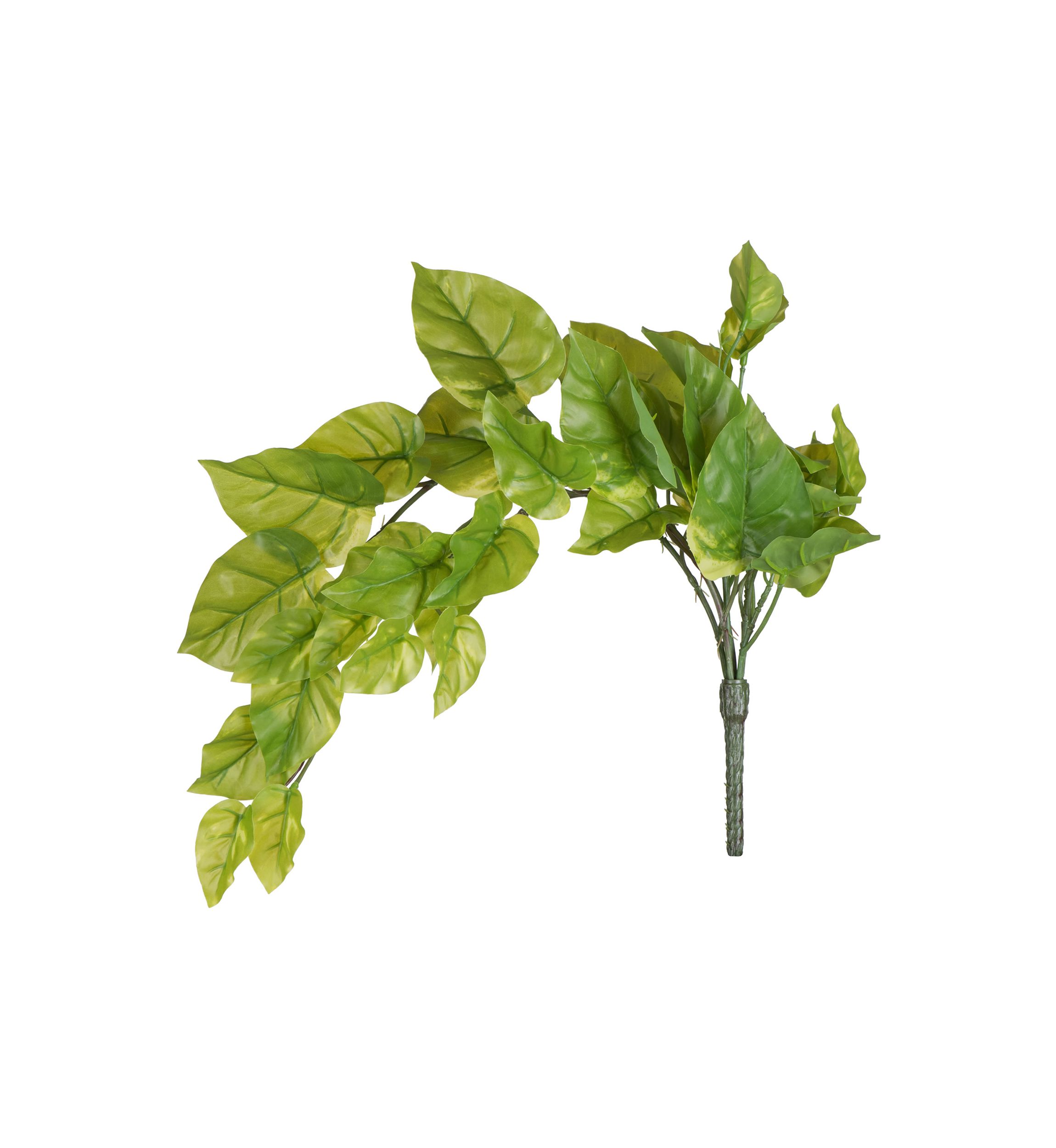 Green Pathos Leaf Bush Vine - Set of 2