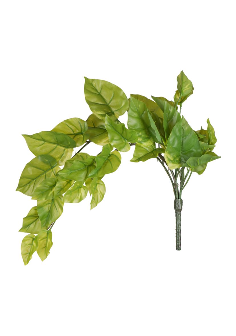 Green Pathos Leaf Bush Vine - Set of 2