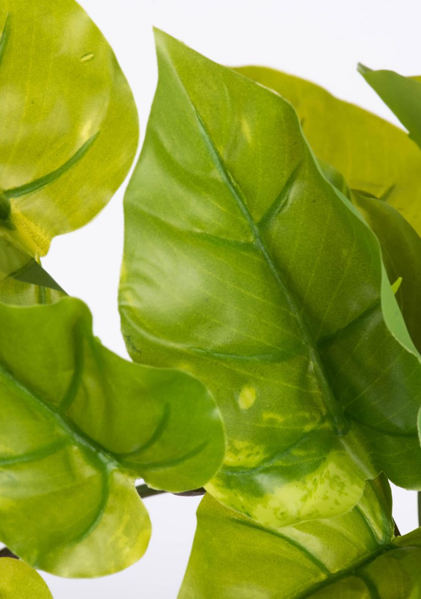 Green Pathos Leaf Bush Vine - Set of 2