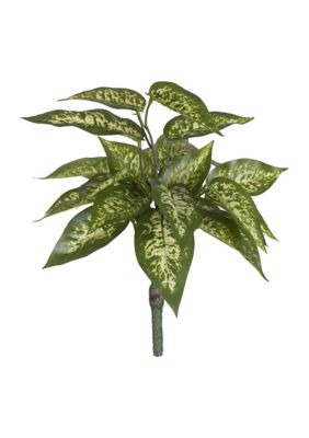 Vickerman Green Dieffenbachia Bush