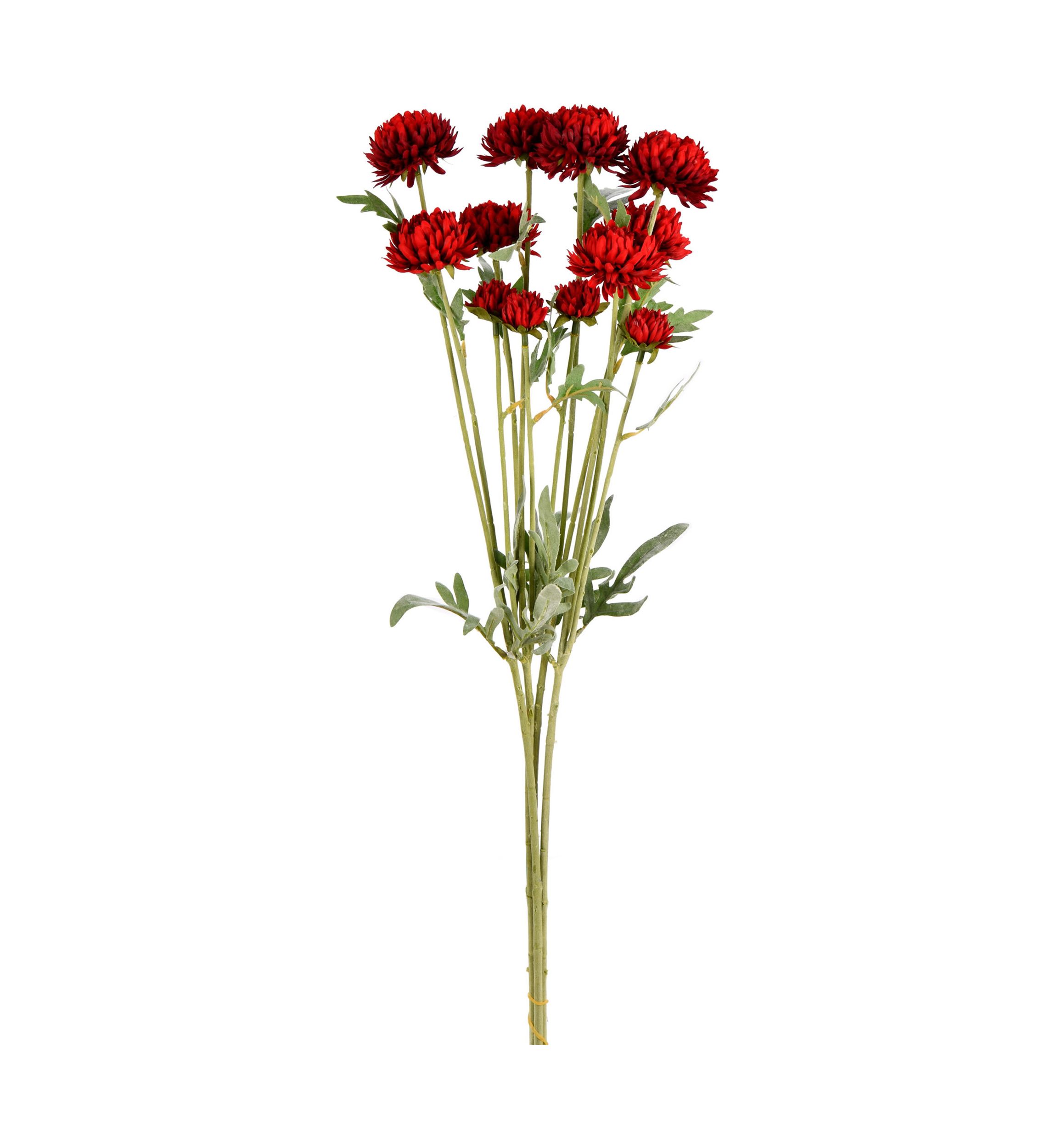Red Daisy Spray