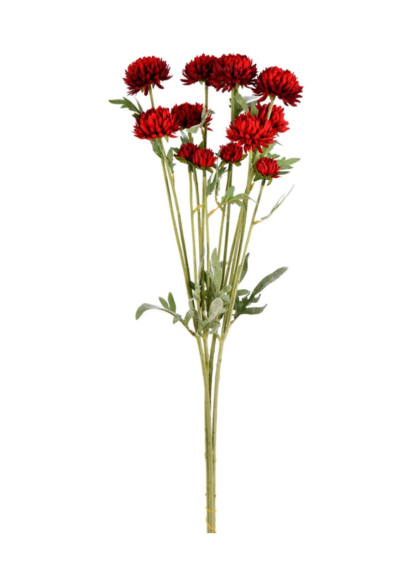 Red Daisy Spray