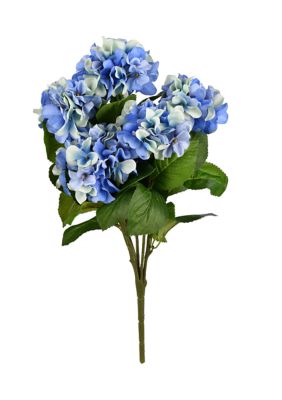 Blue Hydrangea Bush