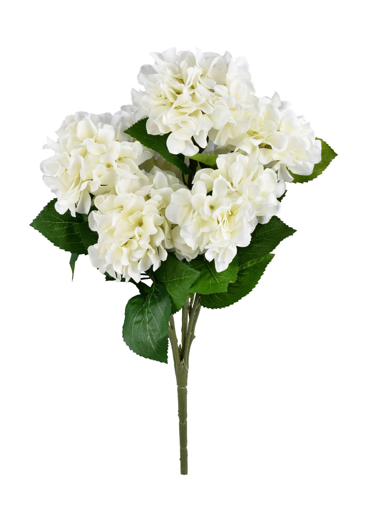 White Hydrangea Bush