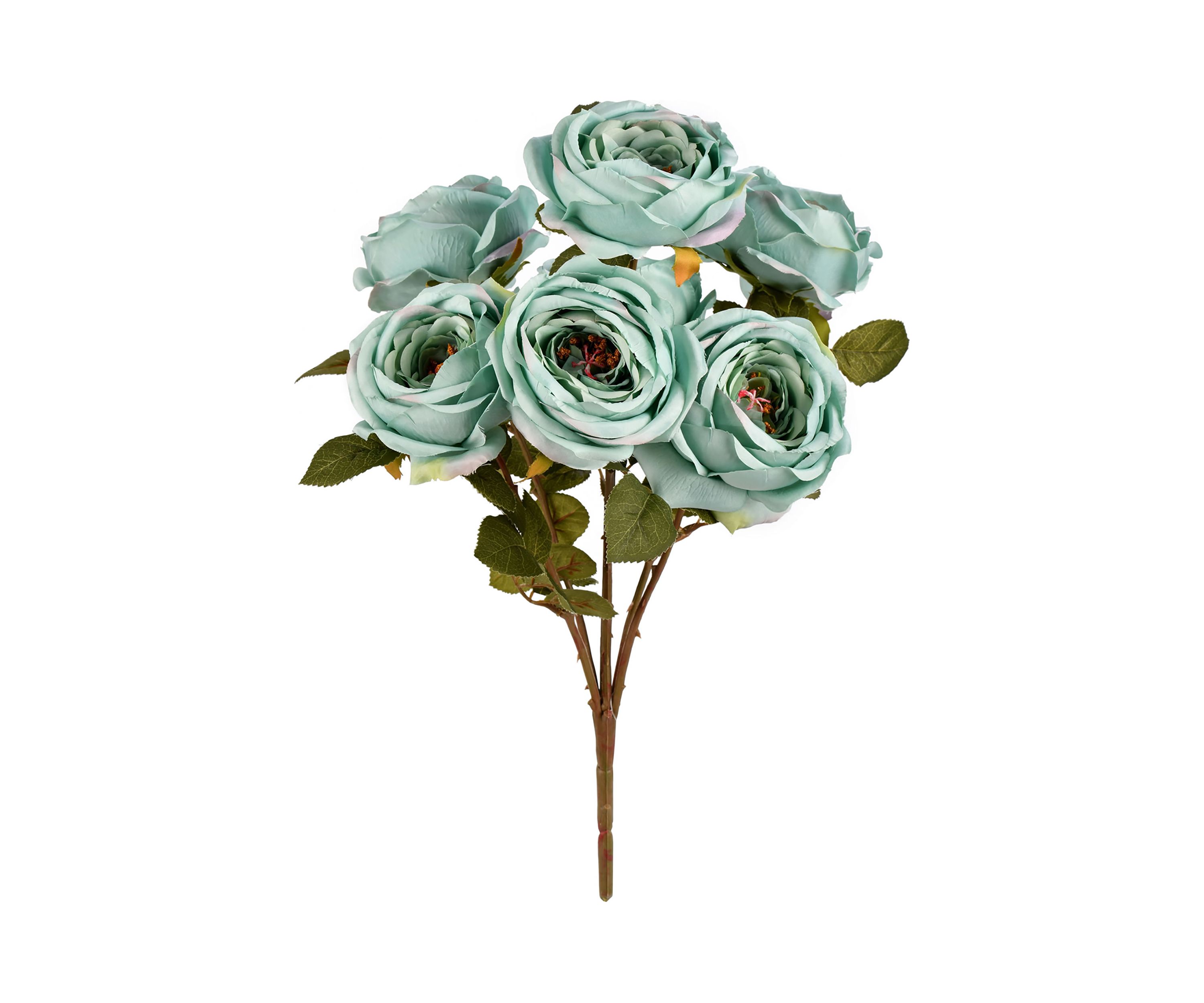 Powder Blue Rose Bush