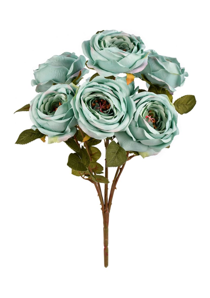 Powder Blue Rose Bush