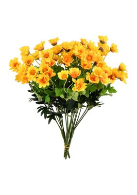 Vickerman Yellow Wild Daisy Bush