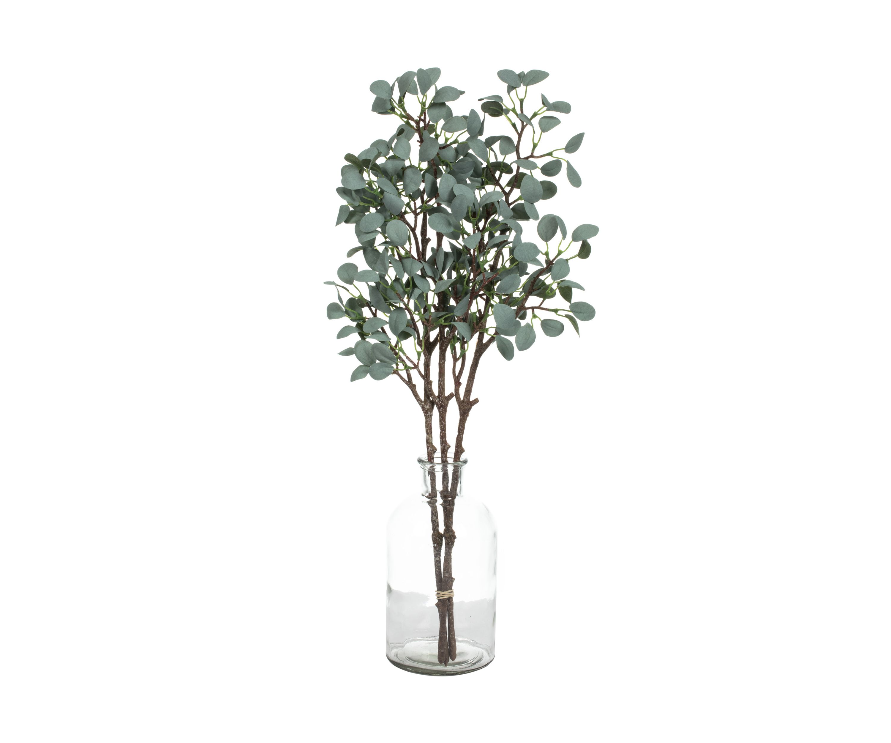 Green Eucalyptus Branch - Set of 3