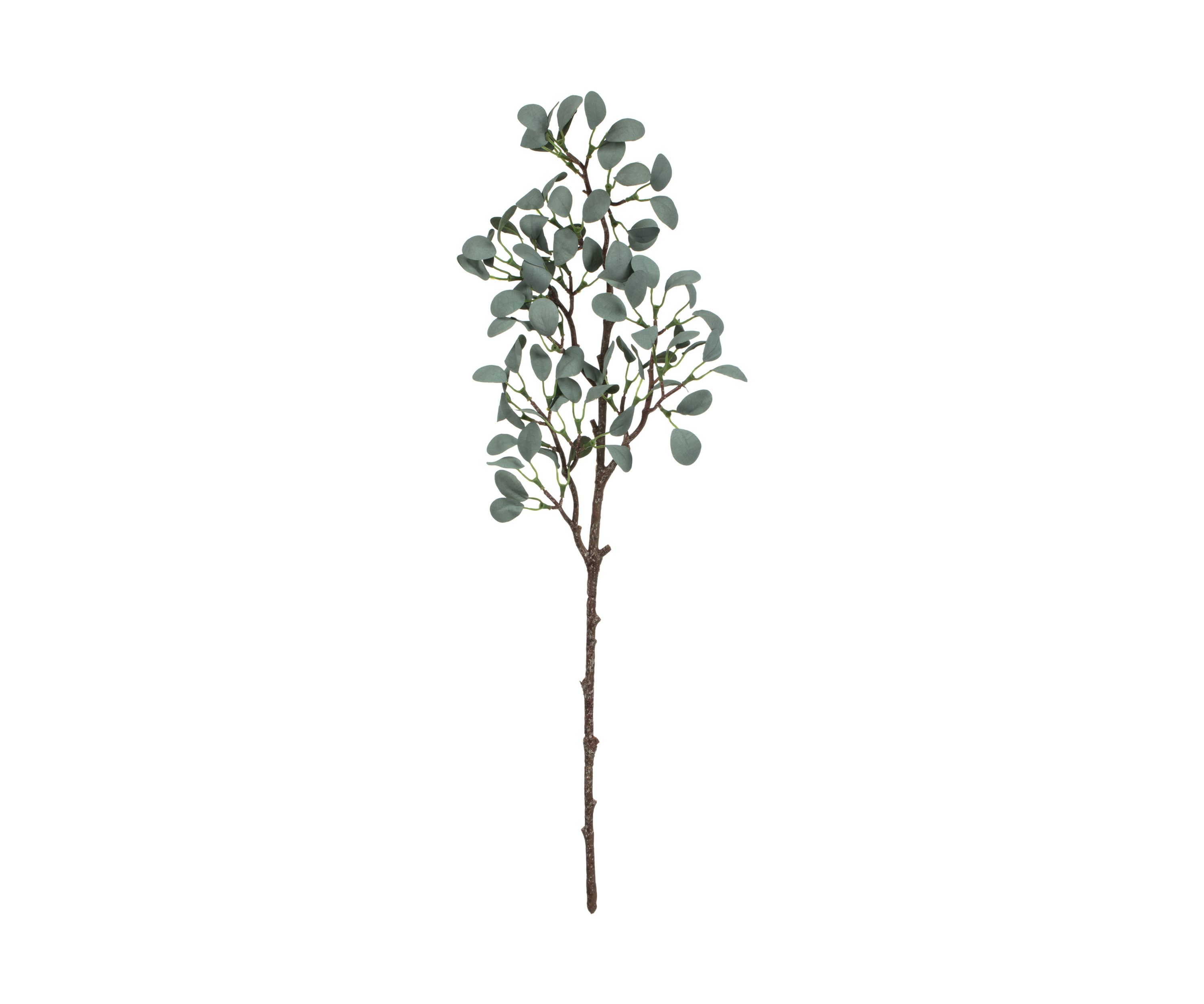 Green Eucalyptus Branch - Set of 3