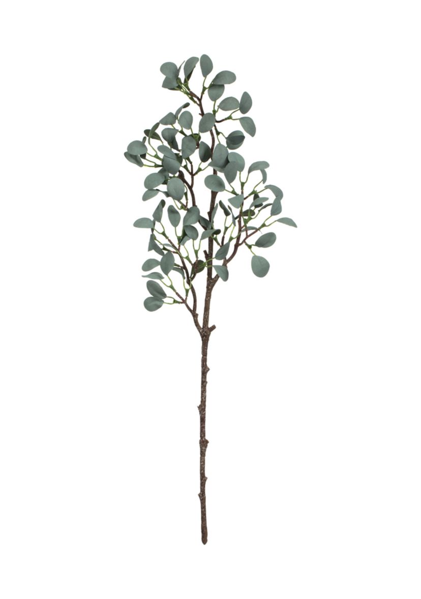 Green Eucalyptus Branch - Set of 3