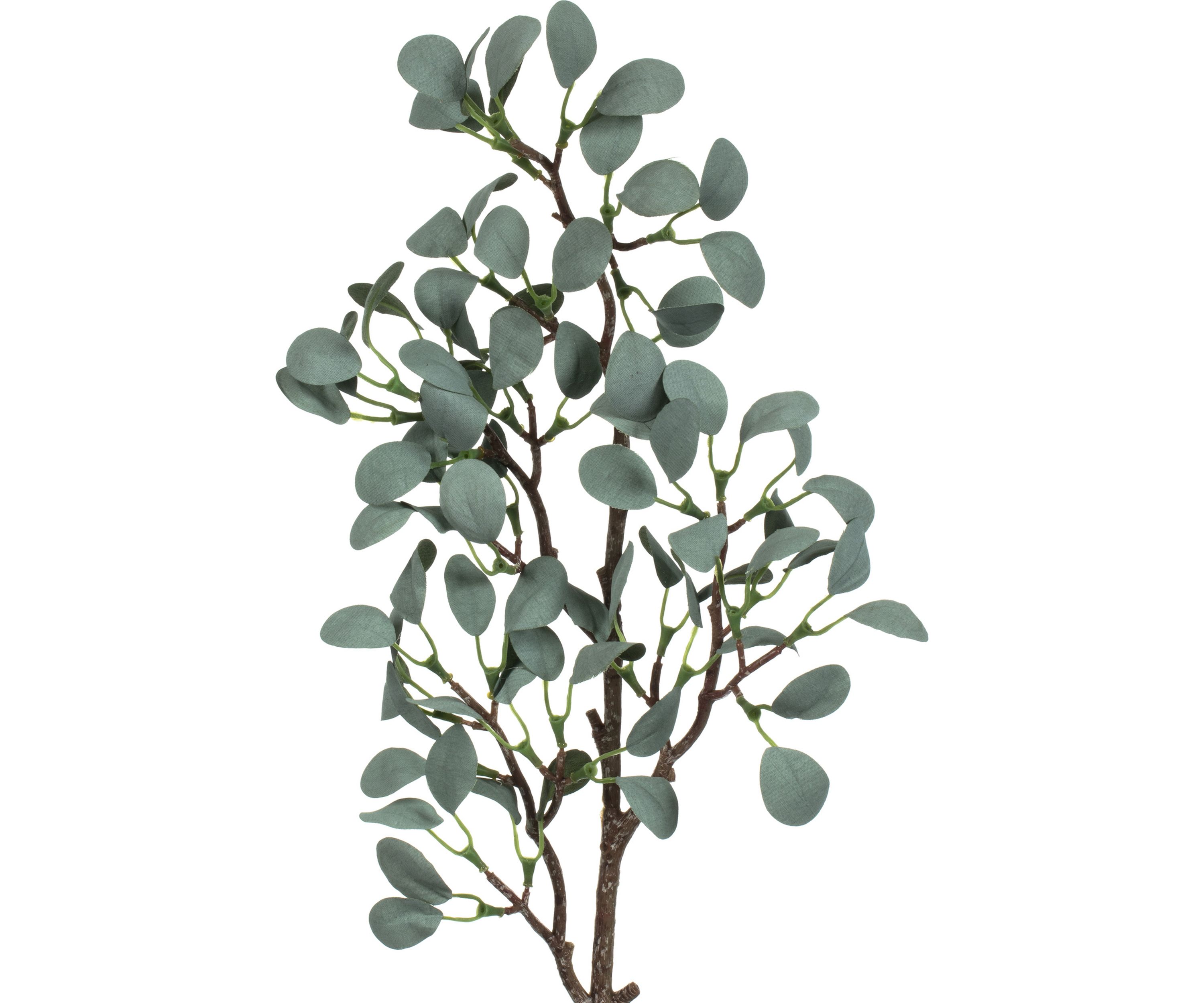 Green Eucalyptus Branch - Set of 3