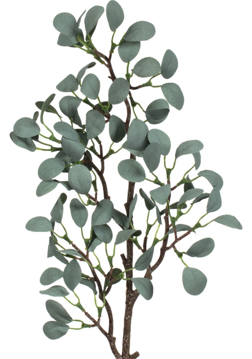 Green Eucalyptus Branch - Set of 3