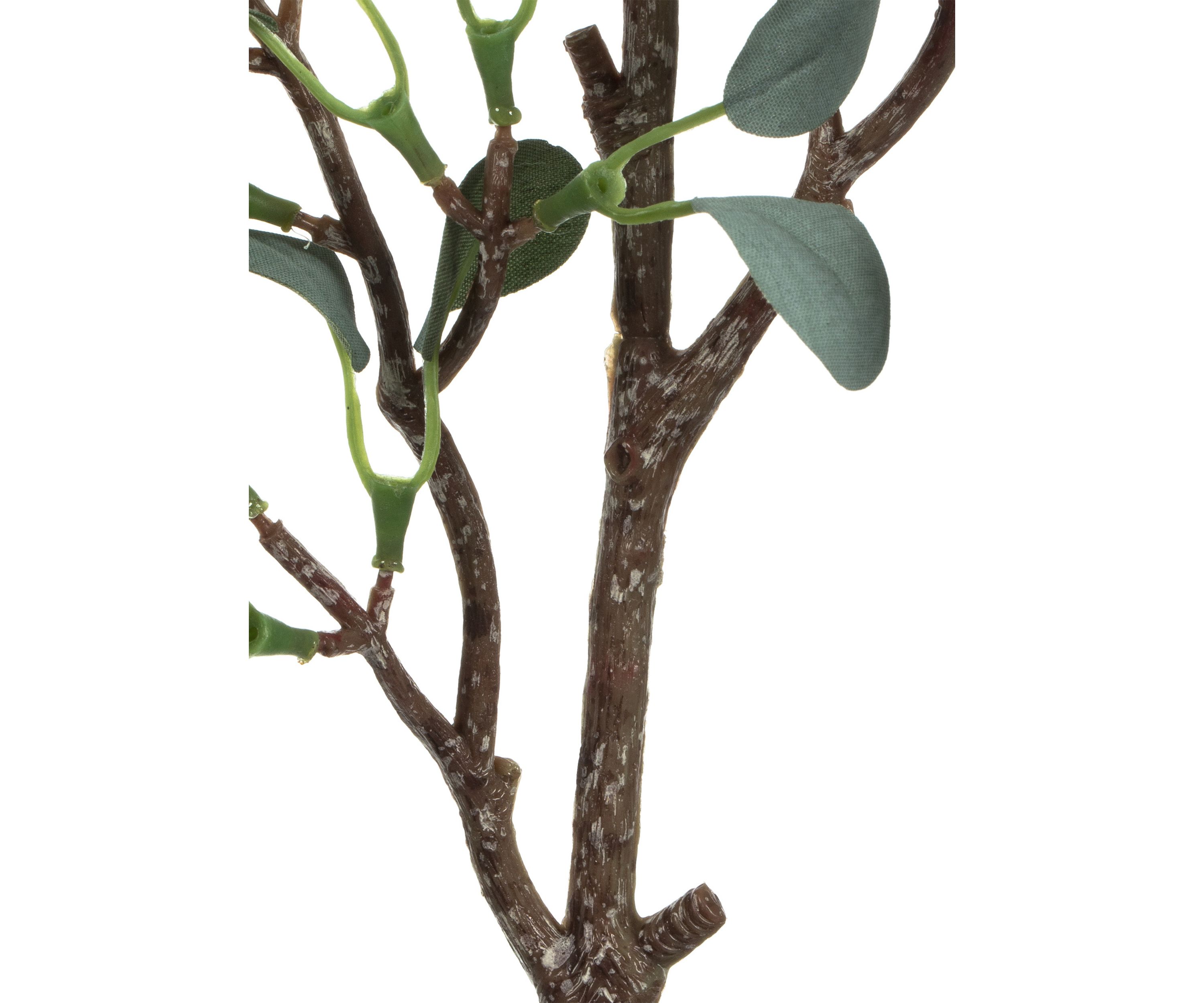Green Eucalyptus Branch - Set of 3