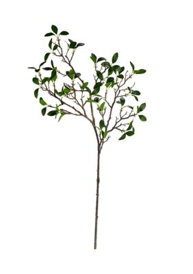 Green Bonsai Branch