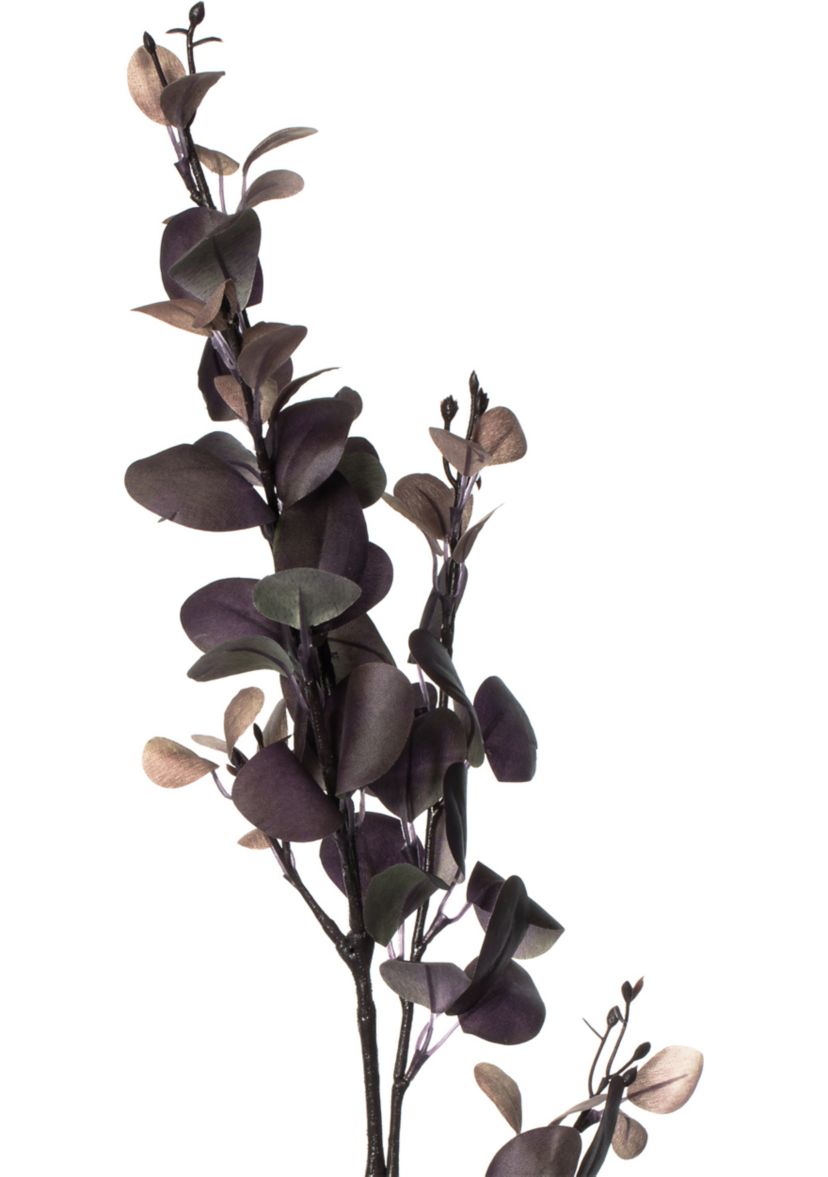 Purple Eucalyptus Leaf Spray