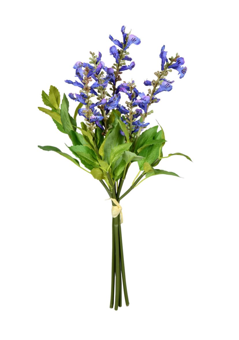 Purple Sage Bundle