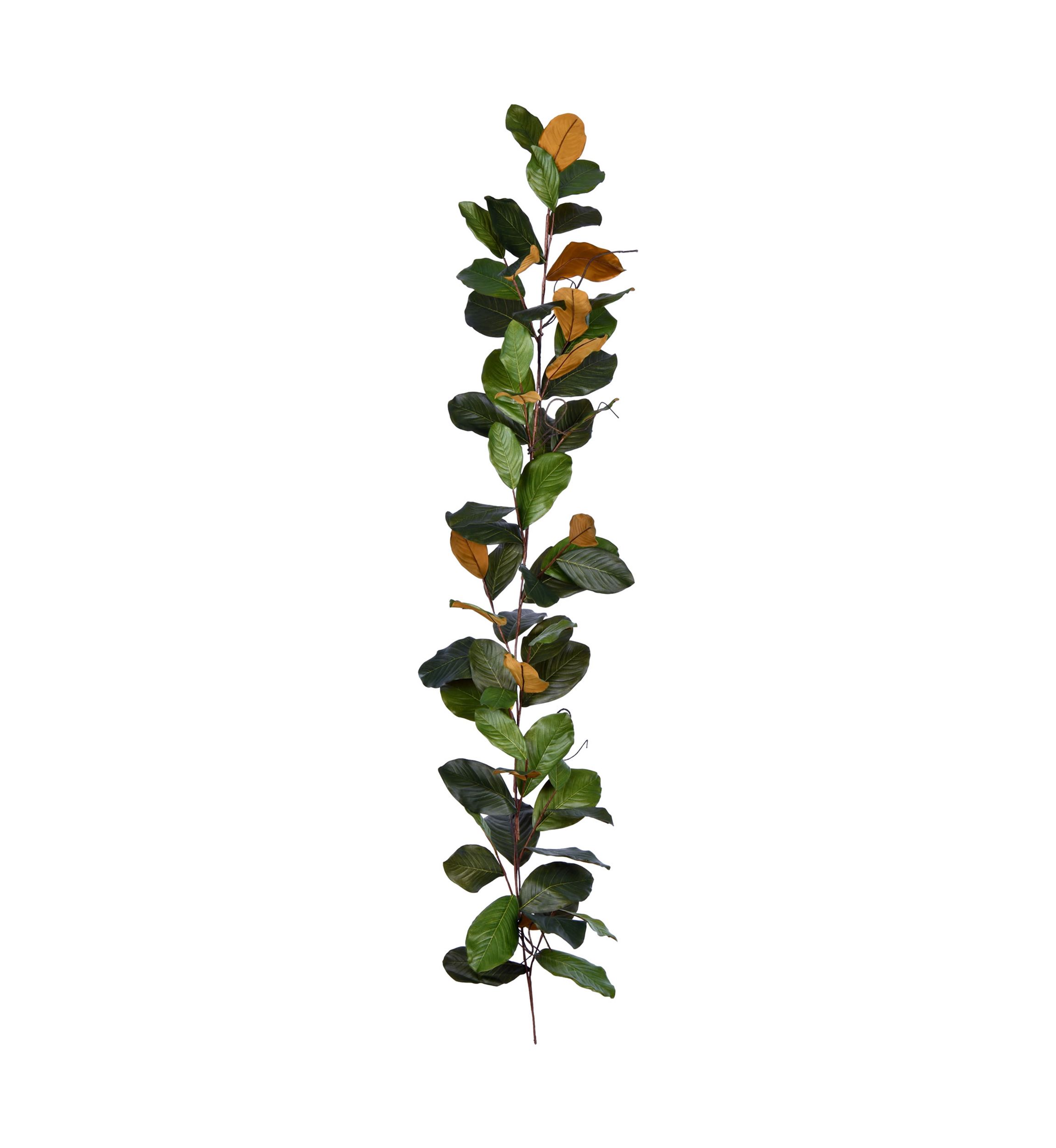 Green Magnolia Garland