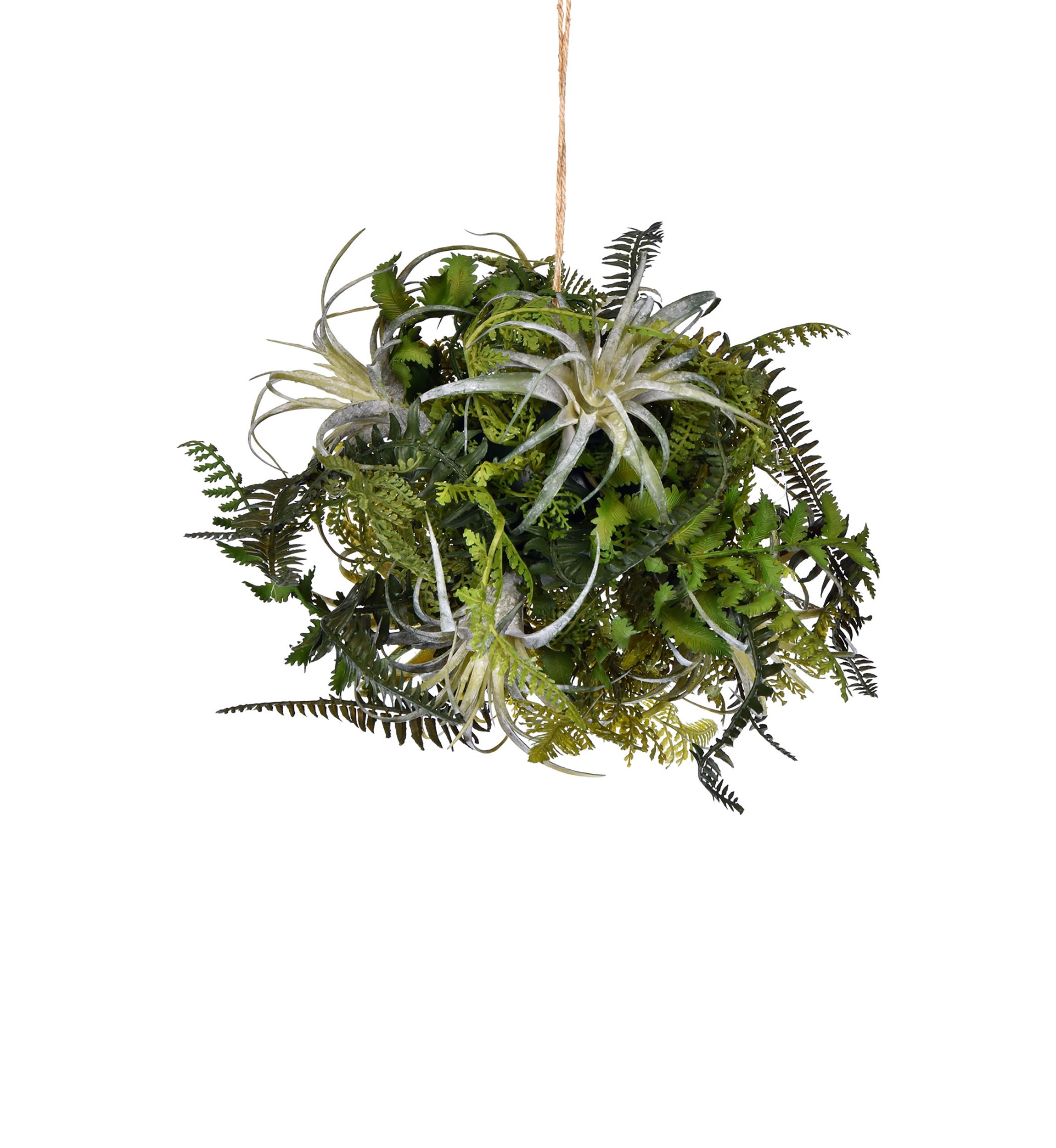 Green Fern Ball