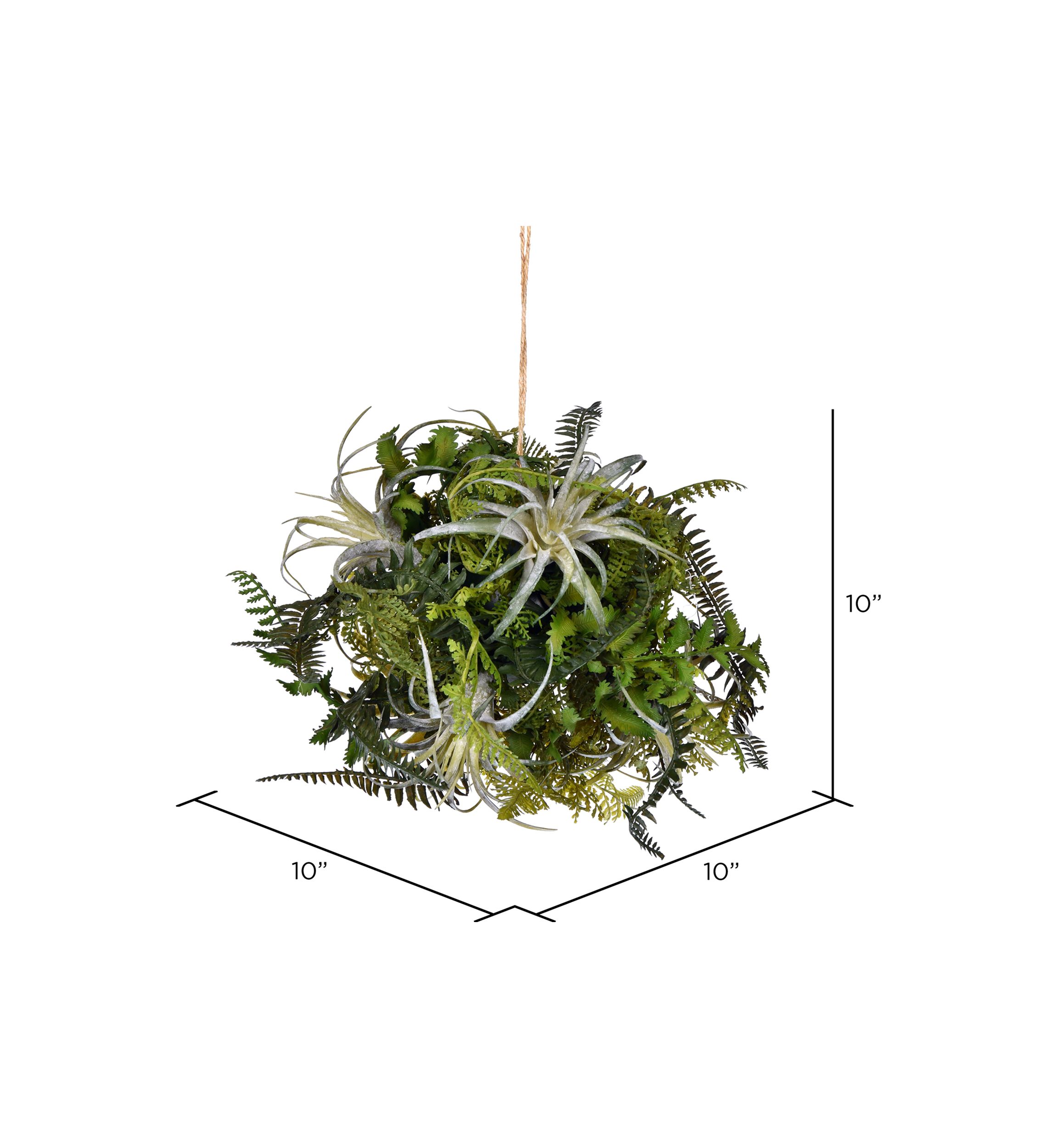 Green Fern Ball