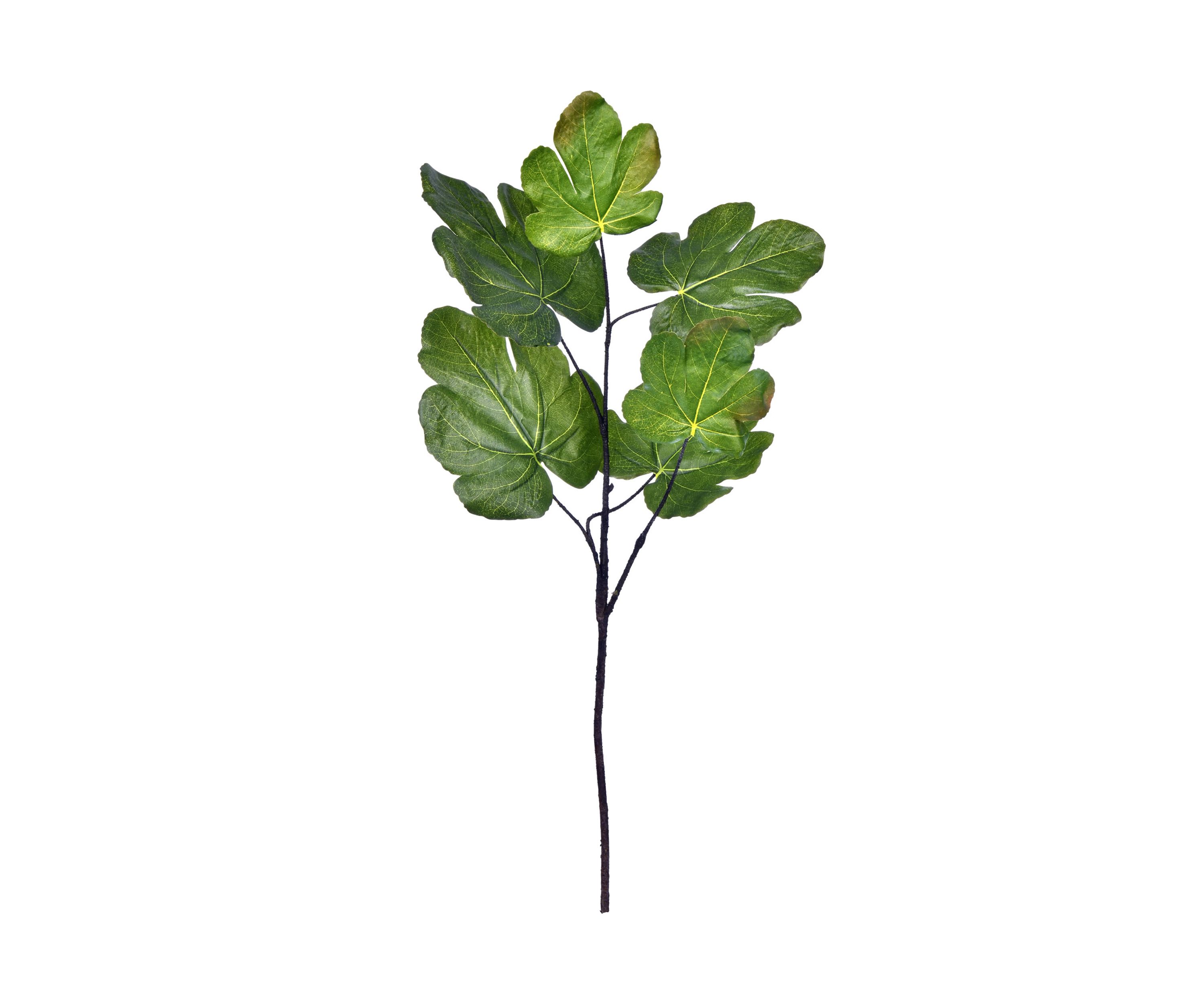 Green Fig Leaf Spray