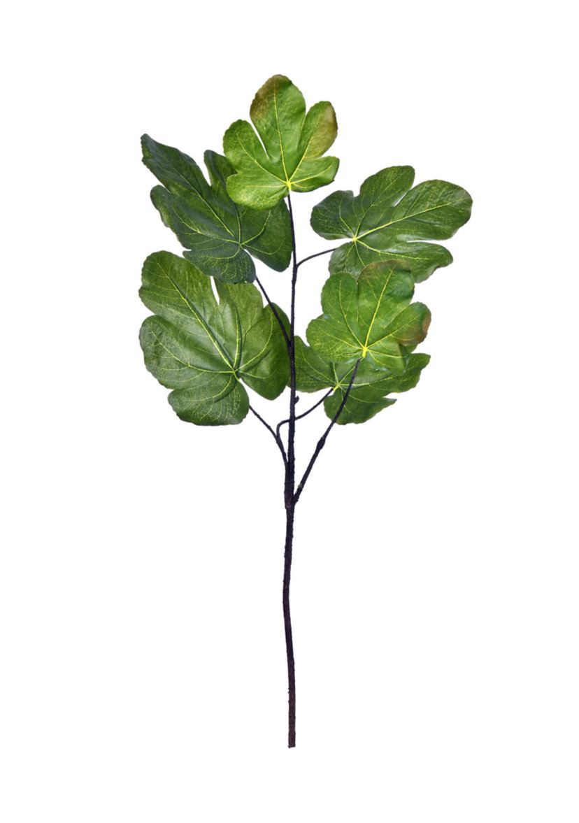Green Fig Leaf Spray