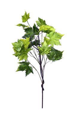 Vickerman French Platanus Leaf Branch, Green