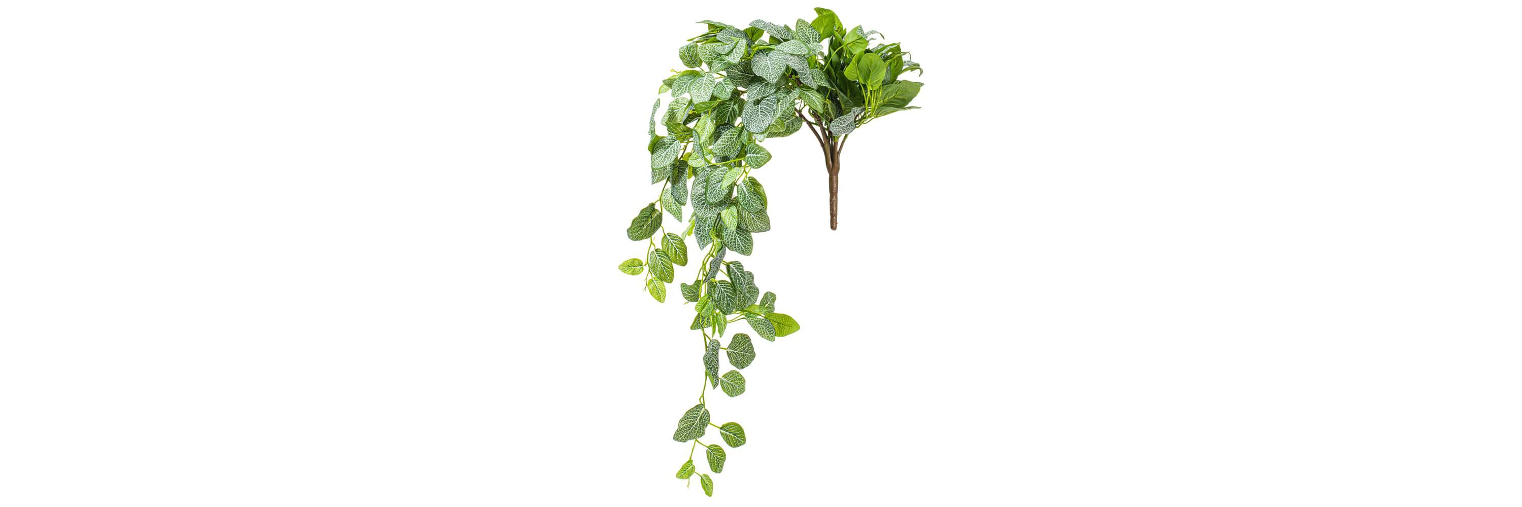 Vickerman 33" Green Artificial Fittonia Bush