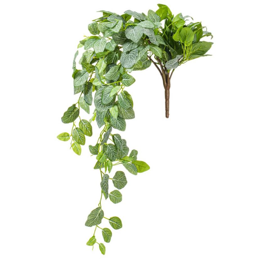 Vickerman 33" Green Artificial Fittonia Bush