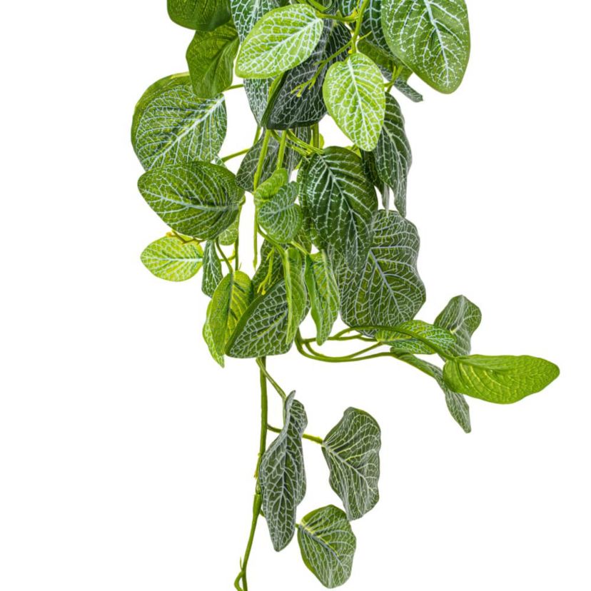 Vickerman 33" Green Artificial Fittonia Bush