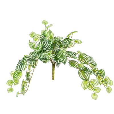 Vickerman 25" Artificial Watermelon Peperomia Bush, Green