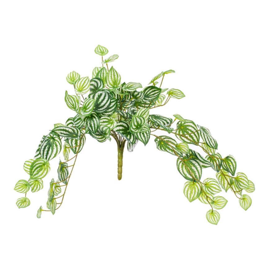 Vickerman 25" Artificial  Watermelon Peperomia Bush