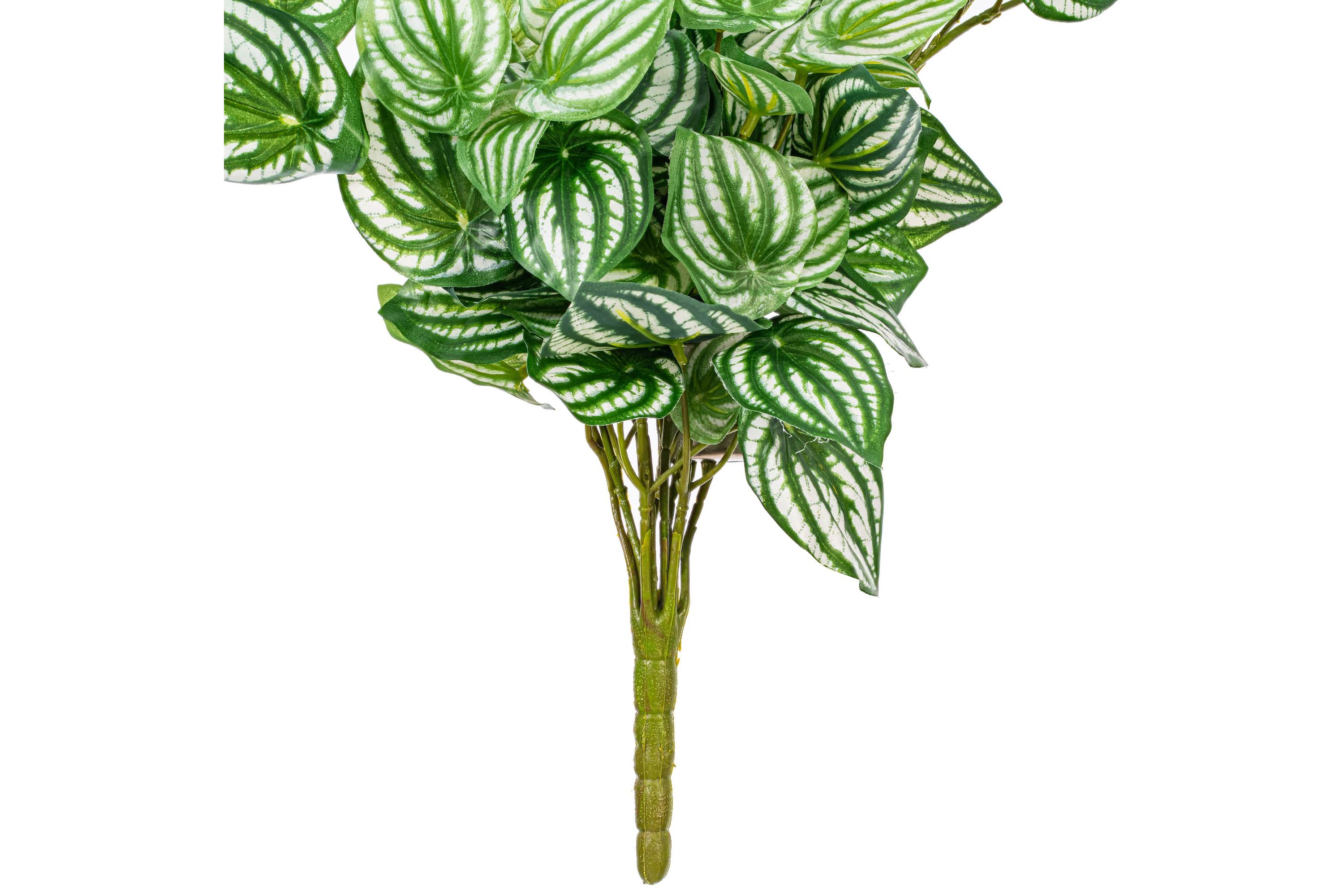 Vickerman 25" Artificial  Watermelon Peperomia Bush