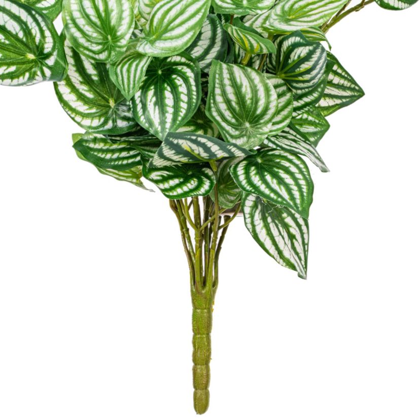 Vickerman 25" Artificial  Watermelon Peperomia Bush