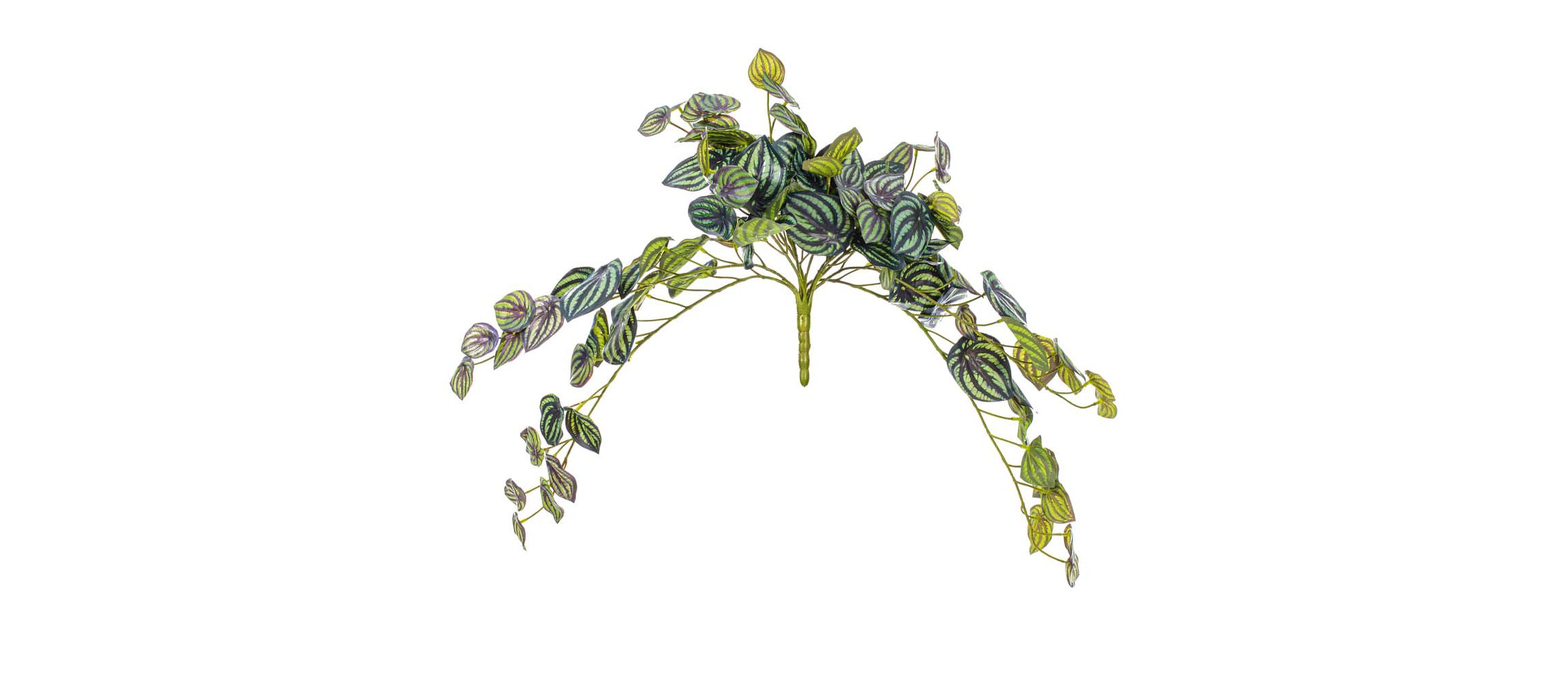 Vickerman 25" Artificial Peperomia Piccolo Bush
