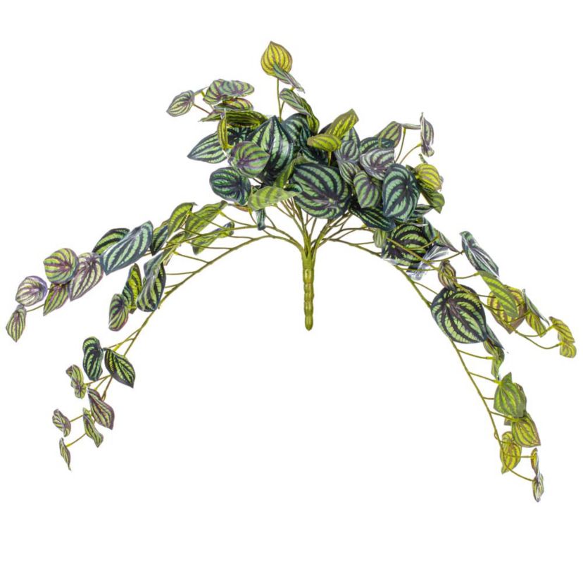 Vickerman 25" Artificial Peperomia Piccolo Bush