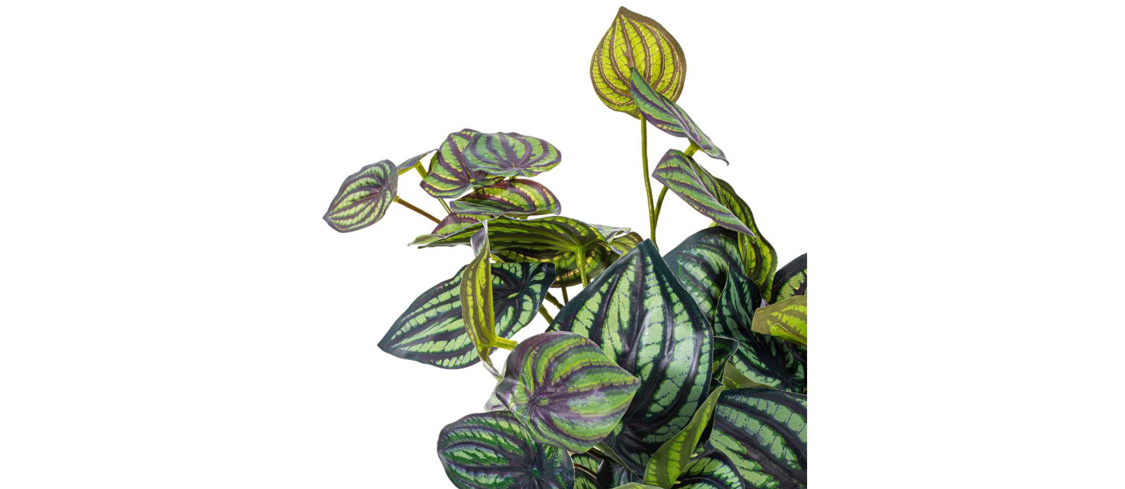 Vickerman 25" Artificial Peperomia Piccolo Bush
