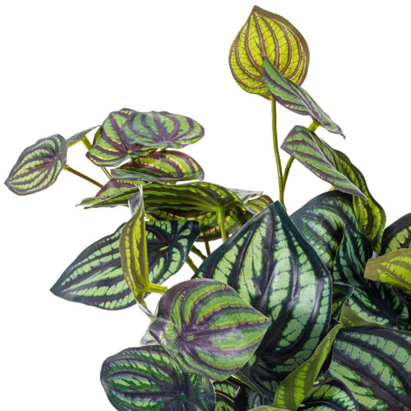 Vickerman 25" Artificial Peperomia Piccolo Bush