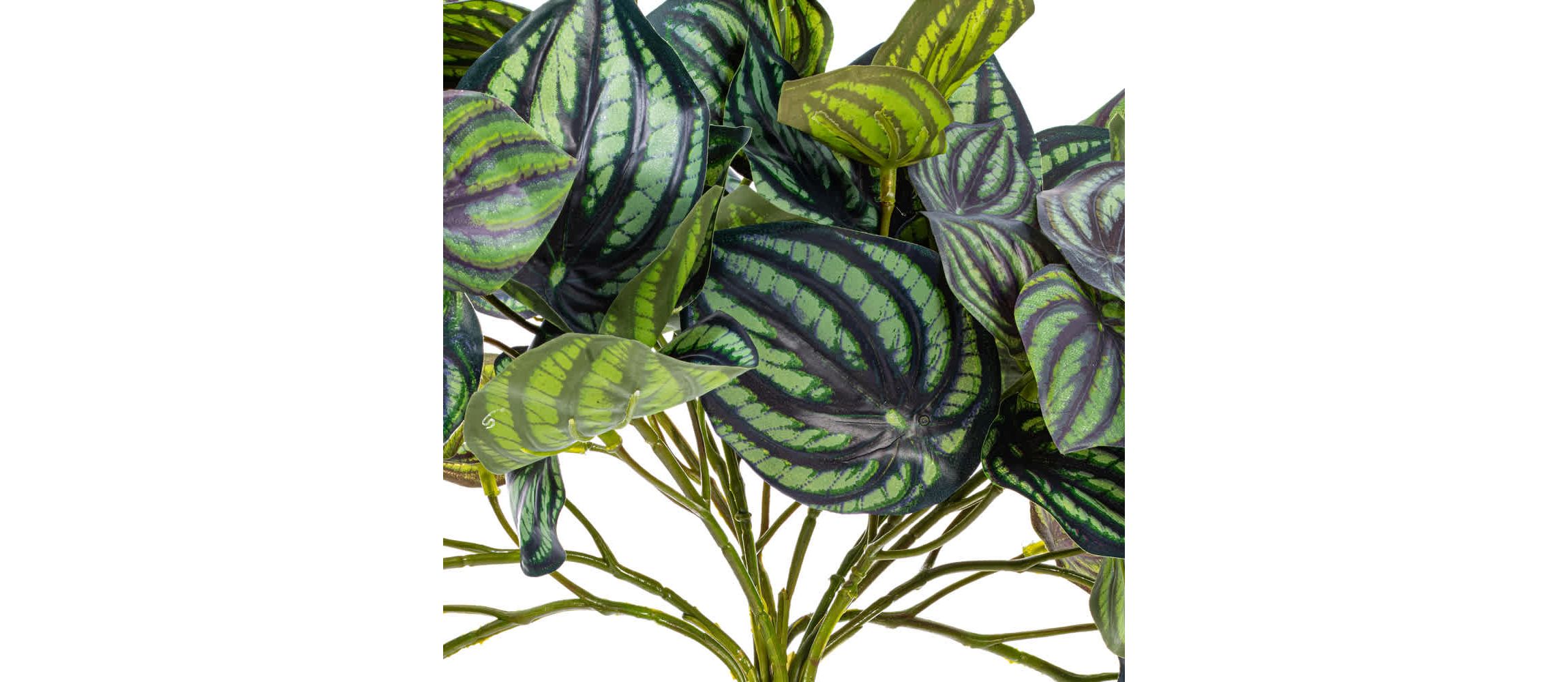 Vickerman 25" Artificial Peperomia Piccolo Bush