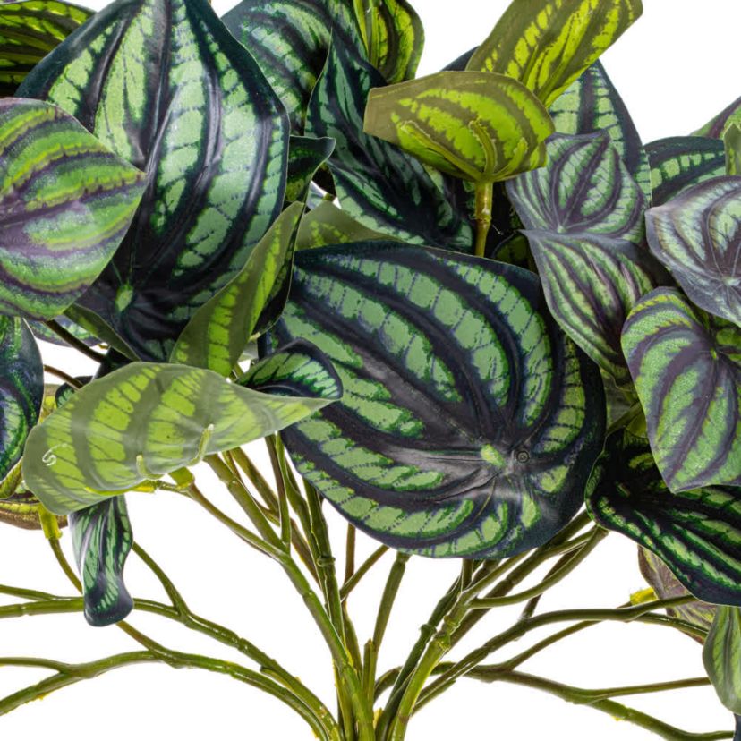 Vickerman 25" Artificial Peperomia Piccolo Bush