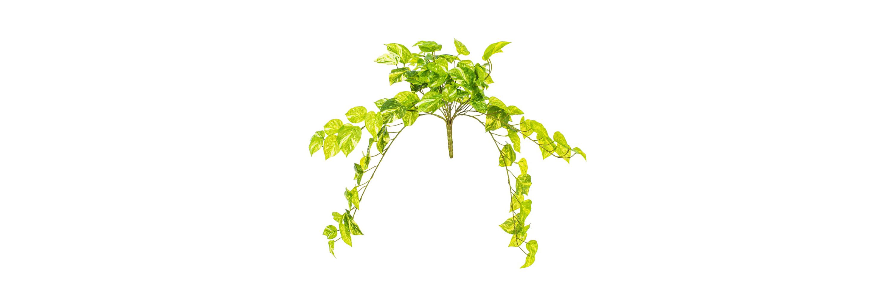 Vickerman 25" Artificial Manjula Pothos Bush
