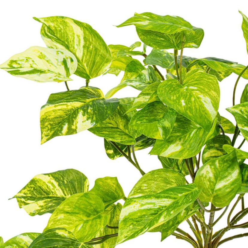 Vickerman 25" Artificial Manjula Pothos Bush