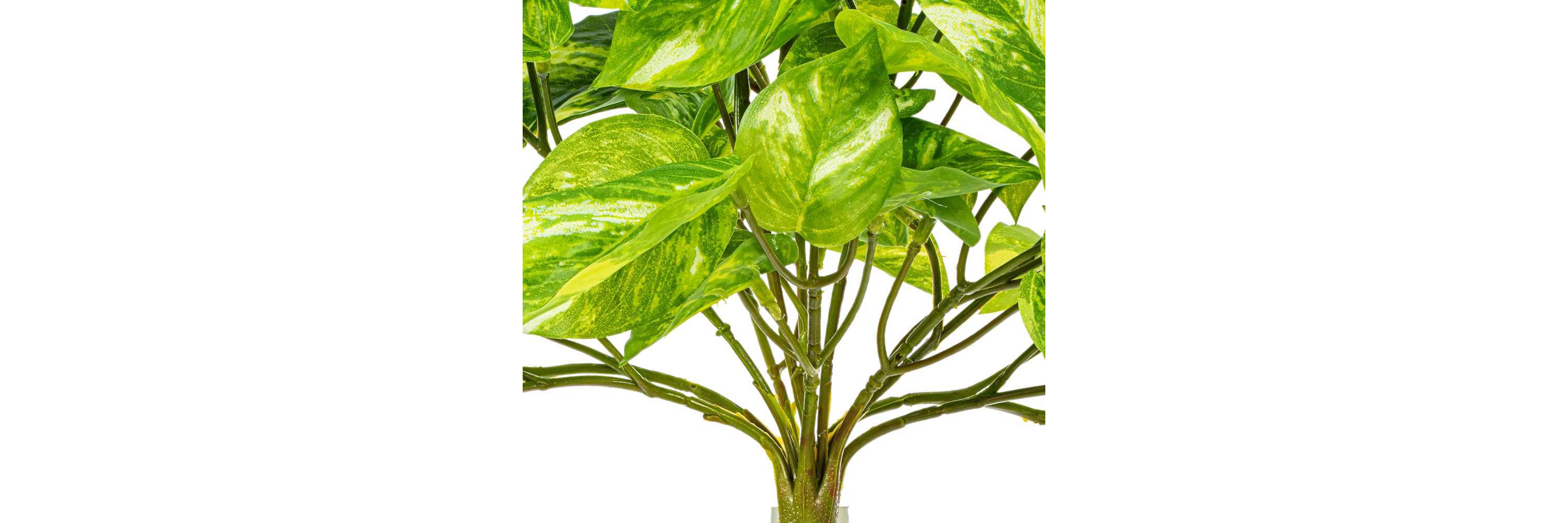 Vickerman 25" Artificial Manjula Pothos Bush